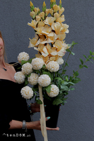  Vanilla, bukiet nagrobny we wkładzie