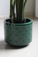 Bananowiec Porto, sztuczna roślina w donicy