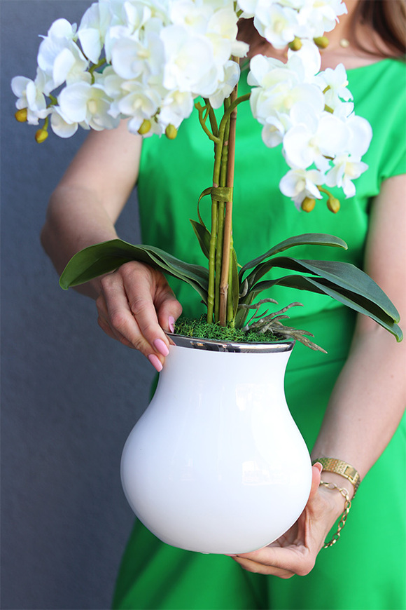 Akima 2, storczyk ecru w białym wazonie