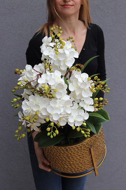 Goldenario Ellie, biały gumowy storczyk w złotej donicy, wys.74cm 