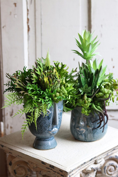 Twarzova, kompozycja Sukulenty w głowie