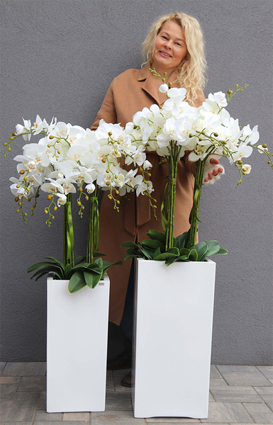 Grande Fiberglass Novelty 3, storczyk w białej donicy z fiberglass