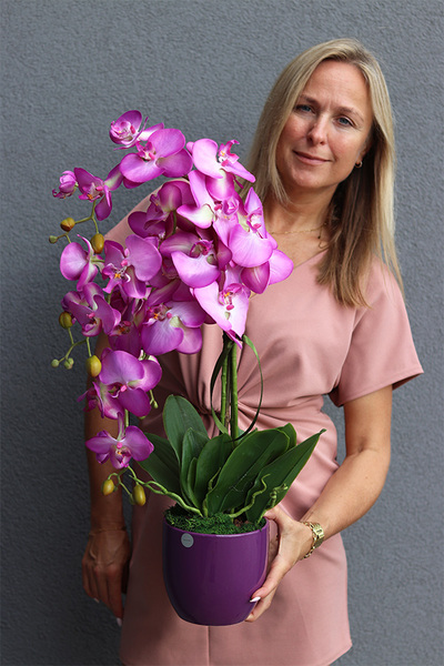 Fuksja Nemia Violet, sztuczny storczyk w fioletowej doniczce