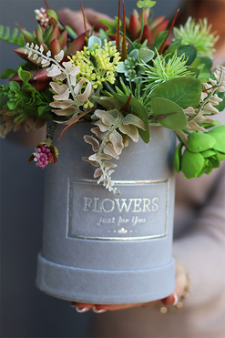 Albertina Mini Red, flowerbox z sukulentami, wys.24cm