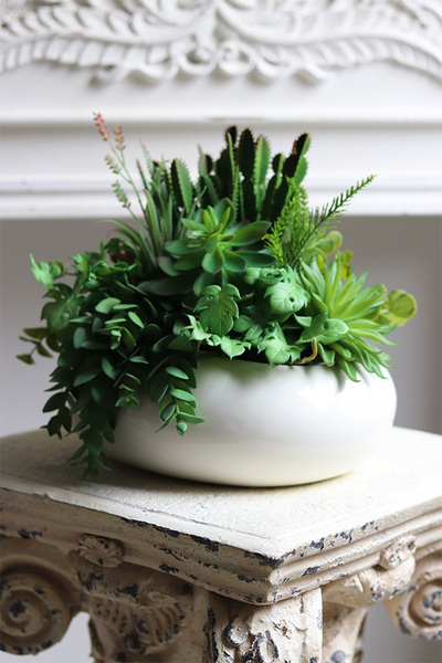 Gessa, kompozycja z sukulentów