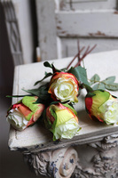 bukiet róż, Premiolla, zielone, 4szt, dł. 52cm