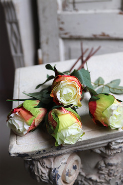 bukiet róż, Premiolla, zielone, 4szt, dł. 52cm