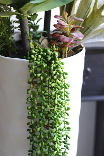 Cactina, sukulenty w wysokiej donicy