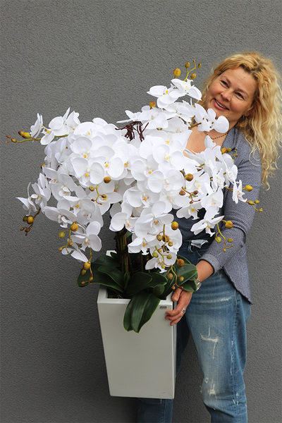 Grande Fiberglass Novelty, storczyk w białej donicy z fiberglass (połysk), wys.130cm