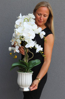 Meleusa Medium, sztuczny storczyk w białej donicy, wym.70cm