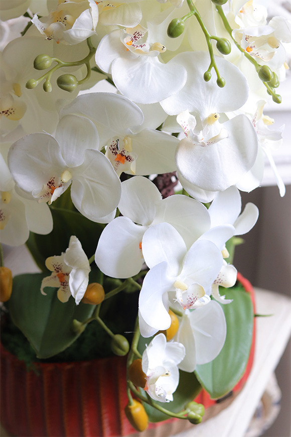 Helide Etnica, sztuczny storczyk w owalnej osłonce