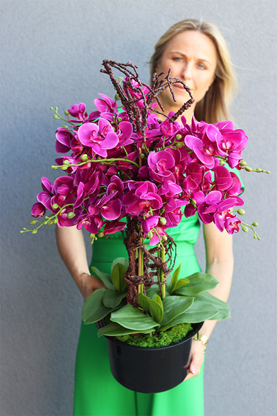 Gizelle storczyk fuksja w Twoim wkładzie