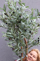 Oliwka Provance, sztuczne drzewko w metalowej donicy