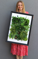 Hotels New Black Sukulenty, czarna jednostronna rama