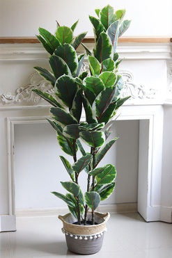 Figowiec Albino Basket, drzewko sztuczna roślina w koszu, wys.130cm