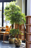 Fikus Benjamin G Gold, sztuczna roślina w złotej donicy