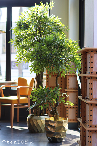 Fikus Benjamin G Gold, sztuczna roślina w złotej donicy