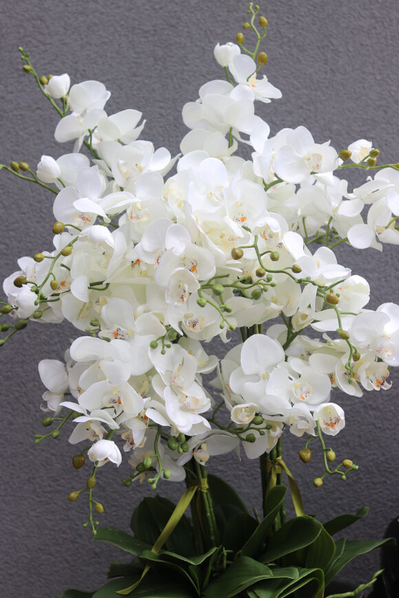 Cooler Fresco Italia, ekskluzywny sztuczny storczyk