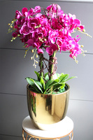 Fuksja Gold Deluxe, sztuczny storczyk w złotej donicy