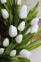 bardzo elegancki wianek z tulipanów, Witaj Wiosno White, śr.40cm