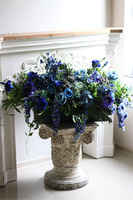 Opera Blue Sky, kompozycja kwiatowa w donicy