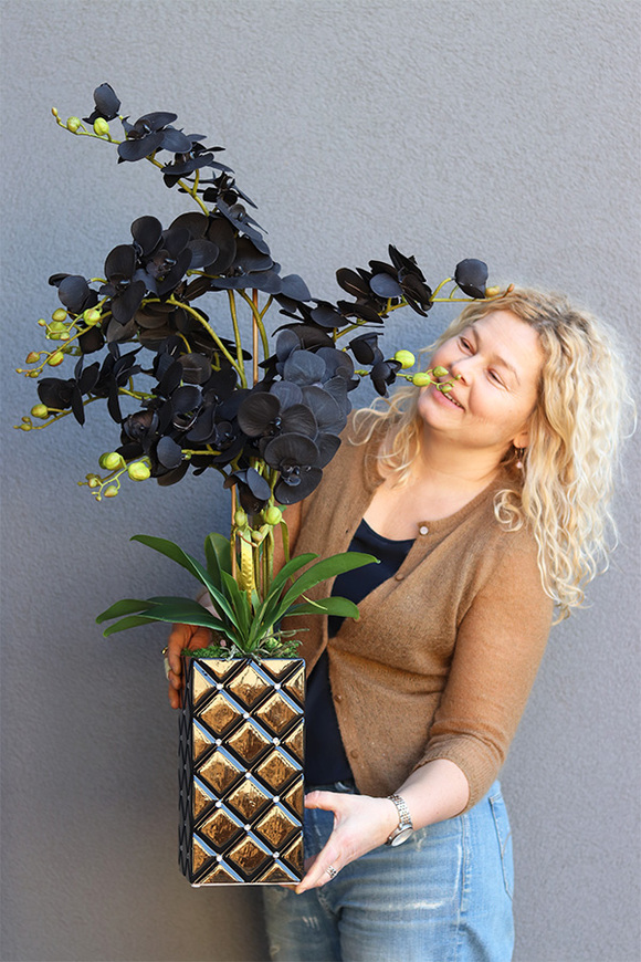 Black Orchid Diamonds, czarny storczyk glamour