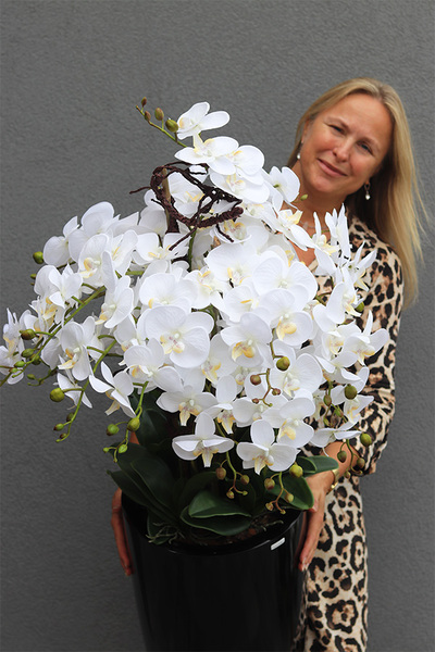 Black&White Fiberglass Grande, duży storczyk w czarnej donicy