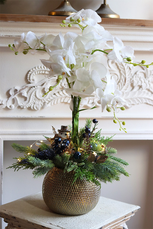 elegancki storczyk zimowy, Złoto & Granat