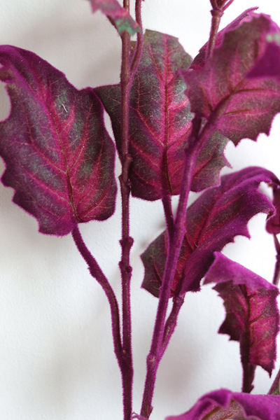 gałązka sztuczna roślina