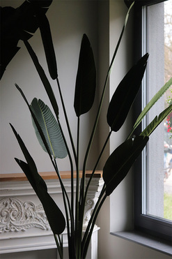 Bananowiec Concrete, sztuczna roślina w donicy, wys.214cm