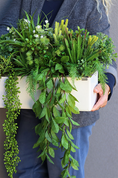 Anya Green Lento Sukulenty, zielona kompozycja w donicy