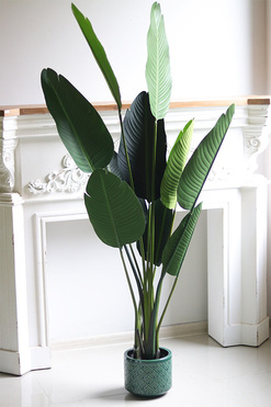 Bananowiec Porto, sztuczna roślina w donicy, wys.155cm