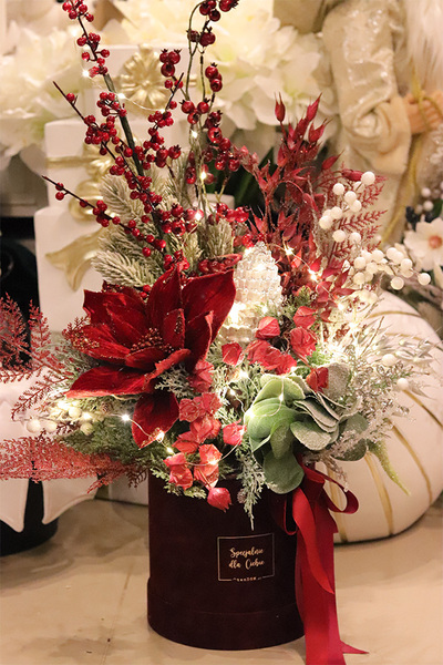 Bordo Xmas, flowerbox świąteczny LED