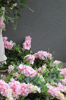 Wisteria Pink New girlanda z biało-różowymi kwiatami