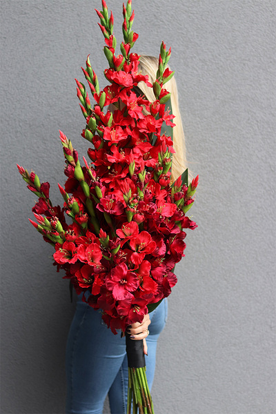 Mieczyki Czerwień, bukiet nagrobny do położenia