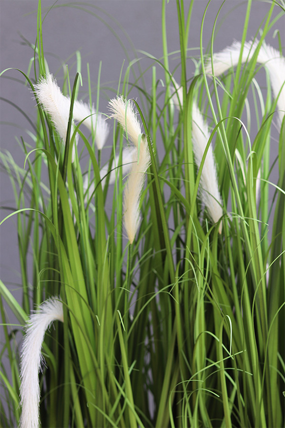 kompozycja traw w białej donicy Greta Devilla z kłosami