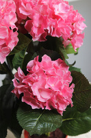 doniczkowa hortensja Mocny Koral, wysokiej jakości sztuczne kwiaty