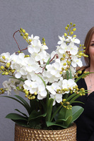 Goldenario Ellie, biały gumowy storczyk w złotej donicy