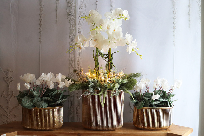 Szronione Cyklameny 3, elegancka zimowa kompozycja