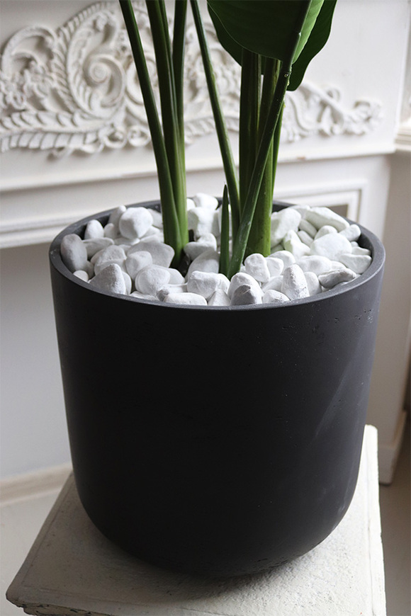 Bambus, sztuczna roślina w osłonce z tworzywa