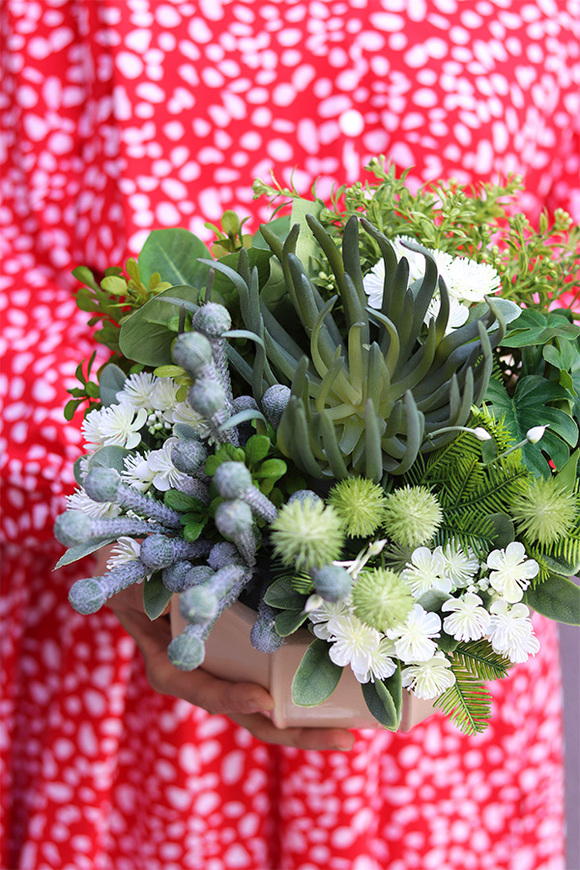 Grenoble, kompozycja sukulenty w okrągłej donicy