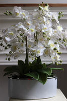 Manfredo Niagara 2, gumowy storczyk w biało-srebrnej donicy