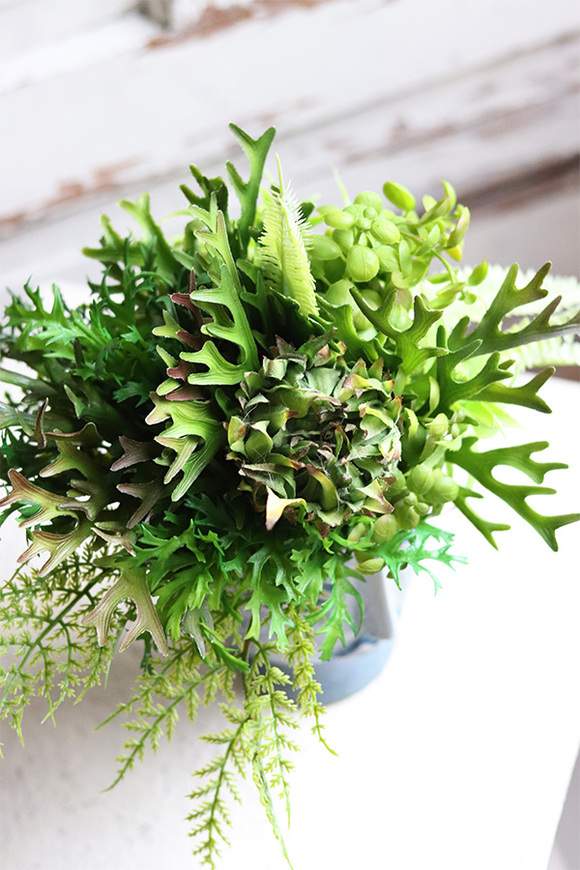 Twarzova, kompozycja Sukulenty w głowie