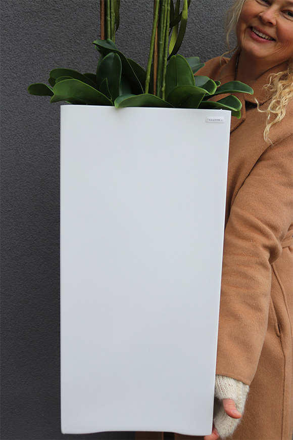 Grande Fiberglass Novelty 3, storczyk w białej donicy z fiberglass