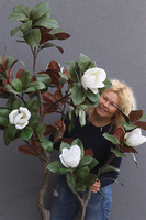 Magnolia Biellita, kwitnące drzewko w donicy fiberglass