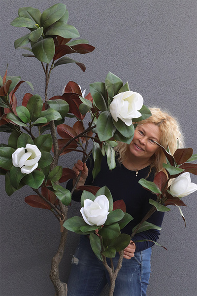 Magnolia Biellita, kwitnące drzewko w donicy fiberglass