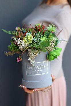 Albertina Mini Red, flowerbox z sukulentami, wys.24cm