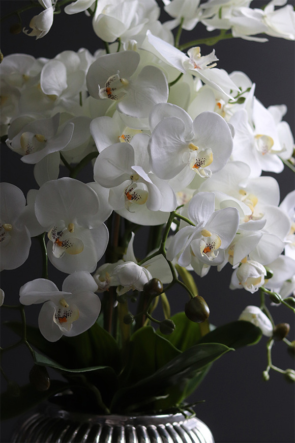 Hilton Silver, wysokiej jakości sztuczny storczyk