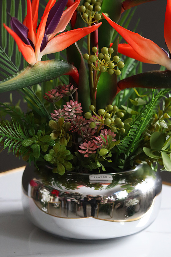 Strelicja Pompadour, egzotyczna kompozycja w szklanej misie