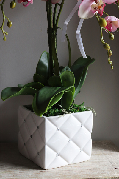 Bedolia Pink, różowy storczyk w donicy z kryształami, wys.62cm